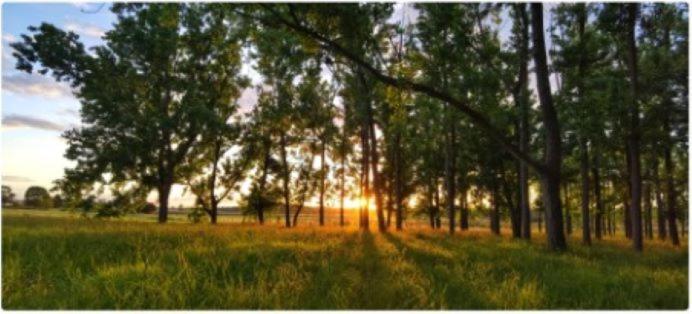 All Seasons Country Lodge Тари Экстерьер фото