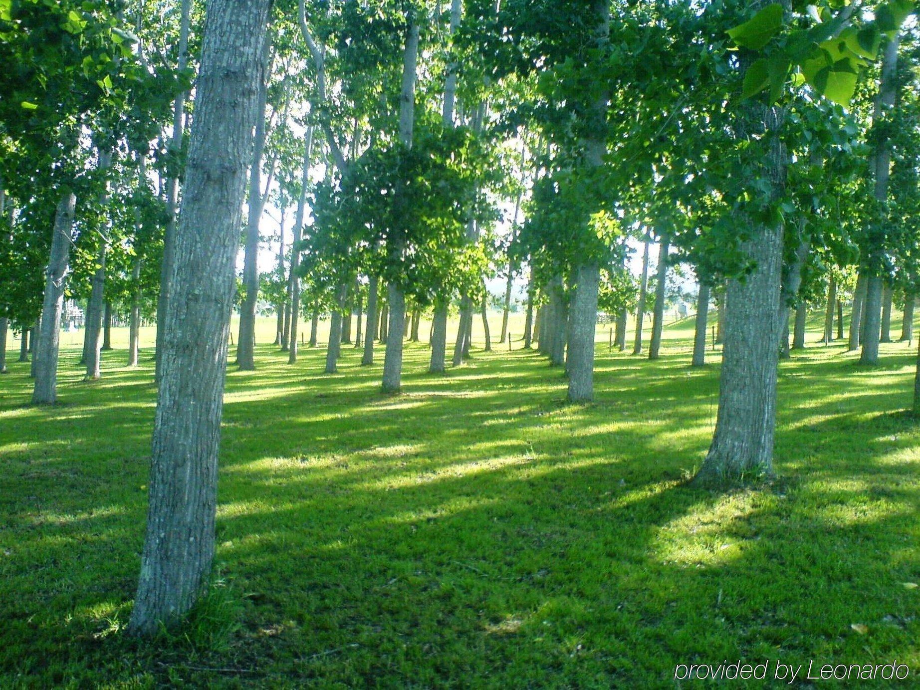 All Seasons Country Lodge Тари Экстерьер фото